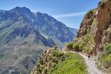 A young woman hiking the Colca Canyon, one of the deepest in the world. Peru