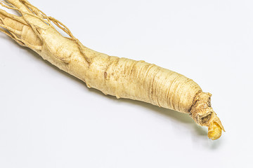 Changbai Mountain ginseng in white background