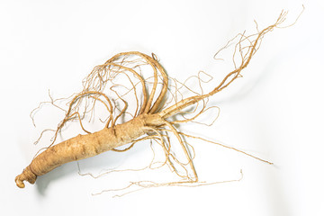 Changbai Mountain ginseng in white background