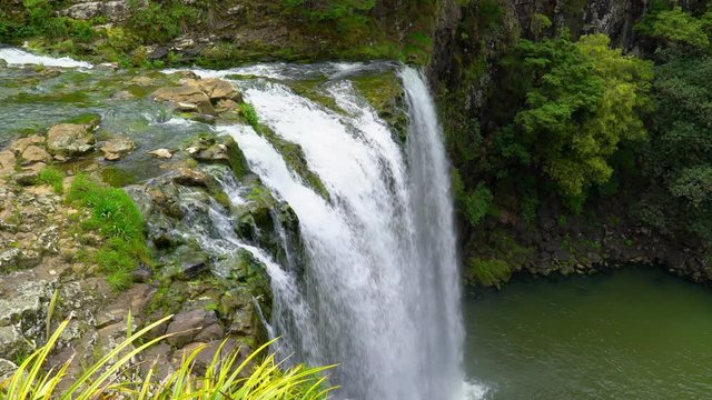 Whangarei Falls in New Zealand