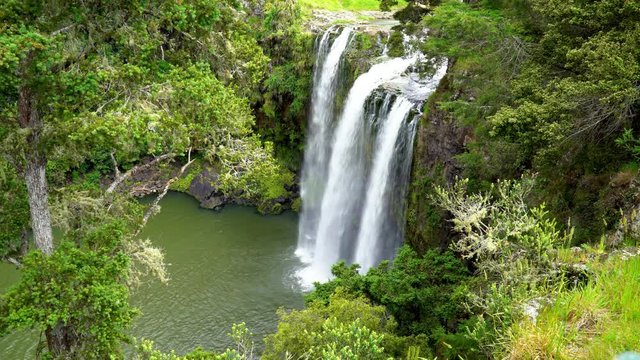 Whangarei Falls in New Zealand