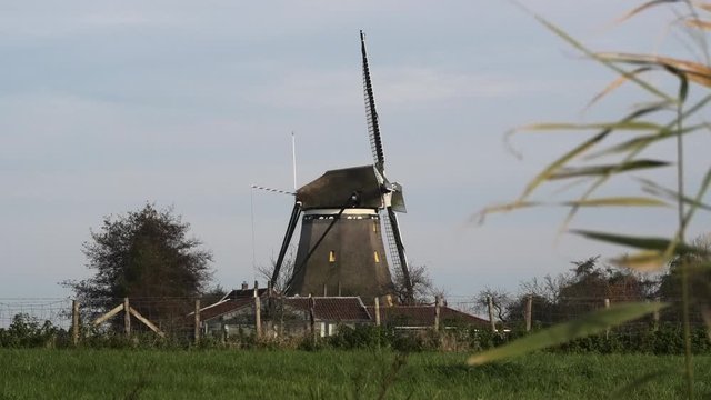 Dutch windmill with barns, grass and ditch in front, Oude Leede, the Netherlands