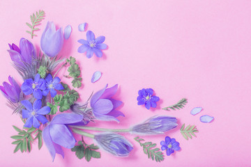Obraz na płótnie Canvas beautiful spring flowers on pink background