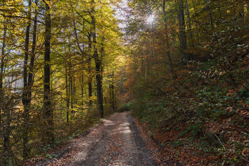 Autumn scenery in the Ukrainian Carpathian Mountains with a tourist girl with a backpack