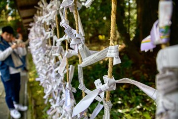 Scenes from Hakone shrine in Hakone, Japan
