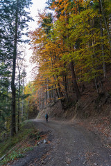 Autumn scenery in the Ukrainian Carpathian Mountains with a tourist girl with a backpack