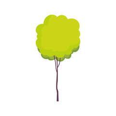 tree foliage nature botanical icon