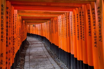 Orange gates at Fushima-Inari Taisha Shrine in Kyoto, Japan