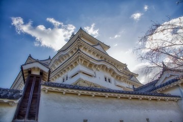 Obraz premium Himeji Castle in Himeji, Japan
