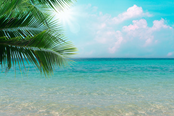 Obraz na płótnie Canvas Photo of clear blue sea with sunny sky summer season with cloud and green coconut tree leaves in foreground background.