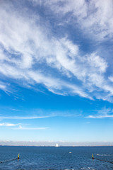 Obraz premium 見上げる空