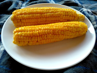 Traditional indonesian culinary food. Jagung Manis Kuning Rebus or boiled yellow corn. Boiled corn Indonesian Food that is simple and often made at home. Indonesian Street Food.