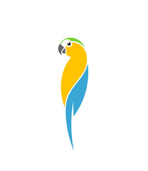 Blue macaw parrot. Logo. Cute bird