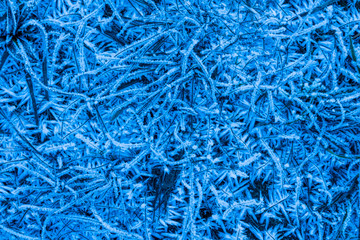 blue winter frost ice abstract background , azure frozen cold texture ,crystallized water on a ground grass ,beautiful crystals close up