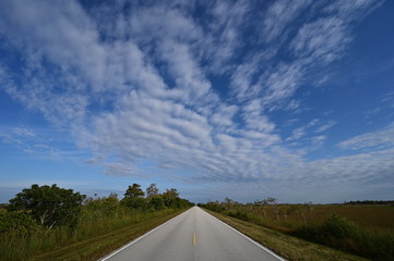 Wide angle view of Main Road in Everglades National Park, Florida receding into distance under beautiful winter cloudscape.