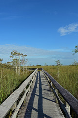 Fototapeta na wymiar Pa Hay Okee Boardwalk in Everglades National Park, Florida on a sunny winter morning.
