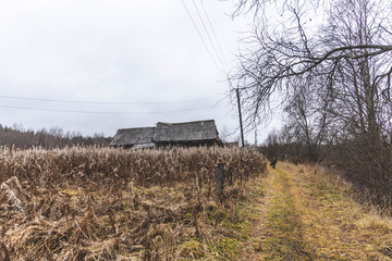 a man walks along a path along wooden houses in the village, yellow grass, autumn