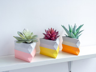 Cactus pot. Concrete pot. Modern geometric concrete planter.