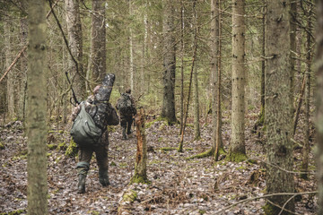two men, in camouflage, hunters, walk in a dense forest, looking for prey, with weapons