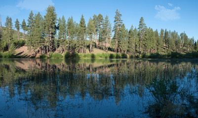 Scenic morning tree reflections in beautiful peaceful mountain lake under blue sky