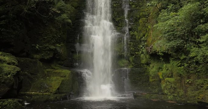 A lush waterfall in the New Zealand Bush