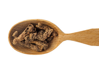 Dry root Potentilla erecta in a wooden spoon on a white background