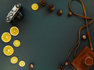 An old camera and dried citrus on a dark green background. Space for text