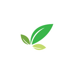 Fototapeta na wymiar green leaf ecology nature element