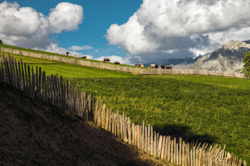 Fototapeta na wymiar Beautiful high mountain georgian landscape with farm meadows in Svaneti Georgia Tsvirmi village