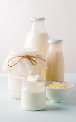 Milk mushroom organic probiotic fermented milk products in glassware. Fermented kefir yogurt...
