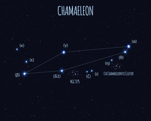 Chamaeleon (The Chameleon) constellation, vector illustration with basic stars against the starry sky  © Jazziel