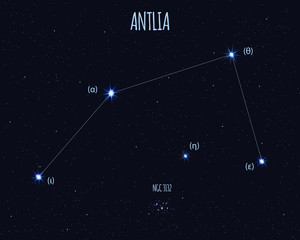 Obraz na płótnie Canvas Antlia (The Air Pump) constellation, vector illustration with basic stars against the starry sky 