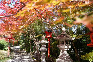鍬山神社 / Kuwayama Temple