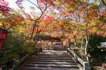 Fototapeta na wymiar 鍬山神社 / Kuwayama Temple