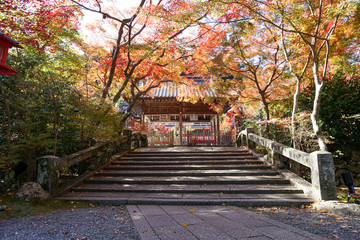 Obraz premium 鍬山神社 / Kuwayama Temple