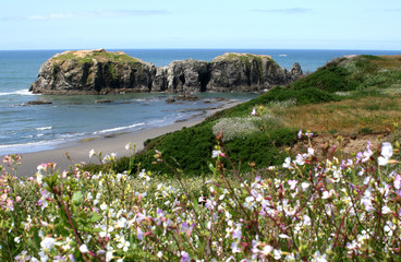 Oregon Coast