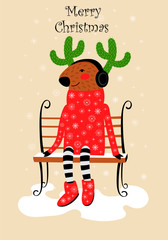 vector greeting card with Christmas reindeer. deer in sweater and with horns from cactus on bench