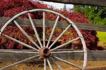 wheel of wagon