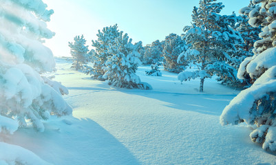 Beautiful Christmas landscape