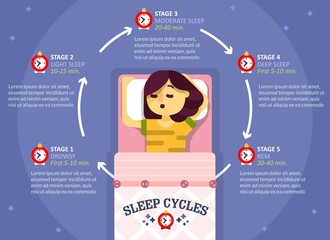 Sleep cycle infographics, vector education diagram, poster