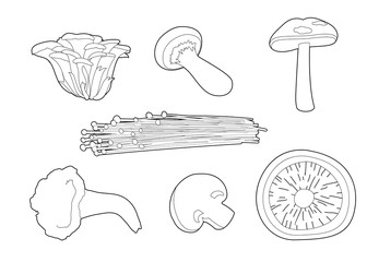 Mushrooms Various Cartoon Vector Coloring Book