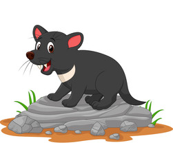 Cartoon tasmanian devil on the rock