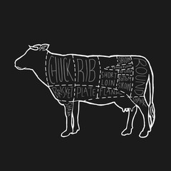 American Meat cuts diagram poster design. Beef scheme for butcher shop vector illustration. Cow animal silhouette vintage retro hand drawn style graphic.