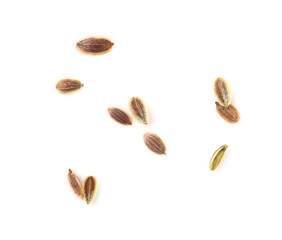 Dill seeds isolated on a white background