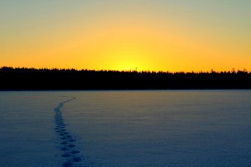 Obraz premium Footprints in the snow.