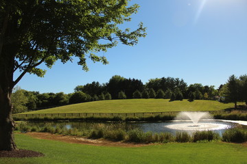 landscape with pond and trees