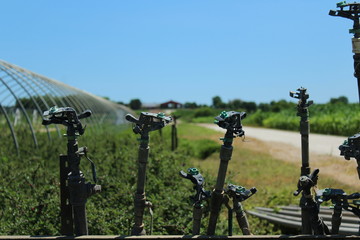 Fototapeta na wymiar irrigation sprinklers