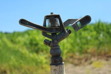 sprinkler head