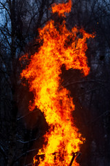 Flame of fire from a burning house as an abstract background