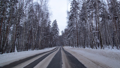 Asphalt road in the forest covered with snow